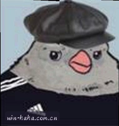 吴佳